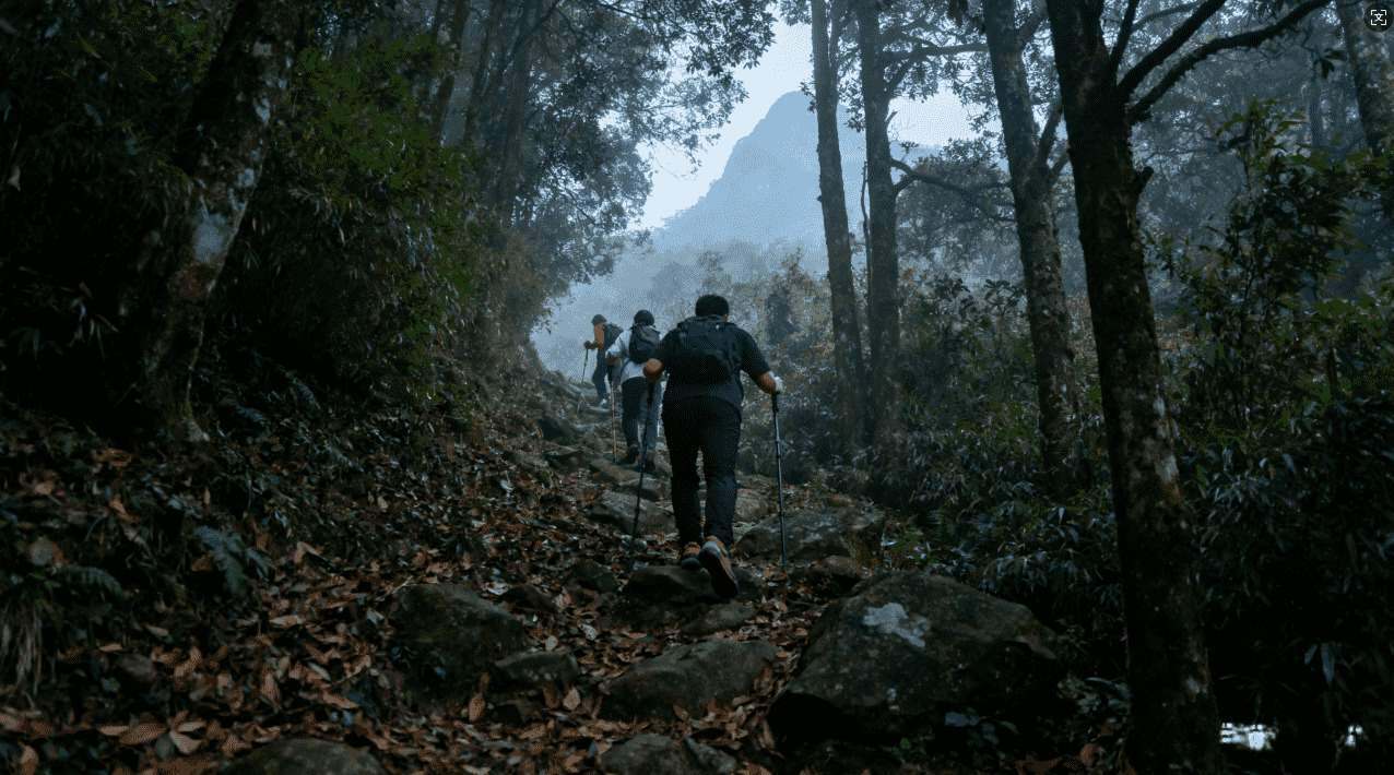 西柚加速器电脑下载安装教程详细指南